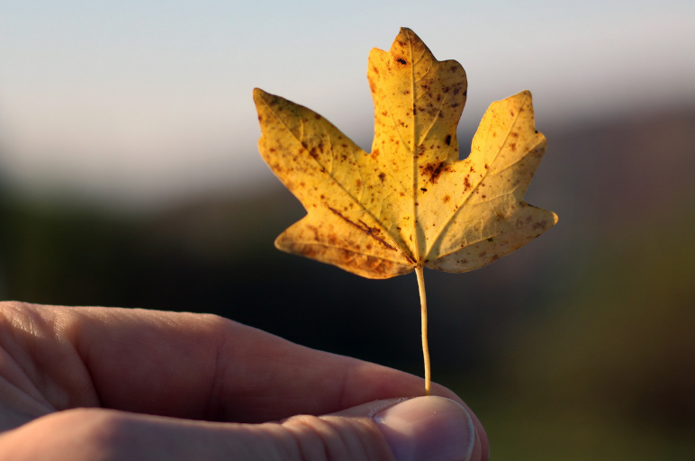 Design an Autumn Self-Care Plan & Become More Resilient